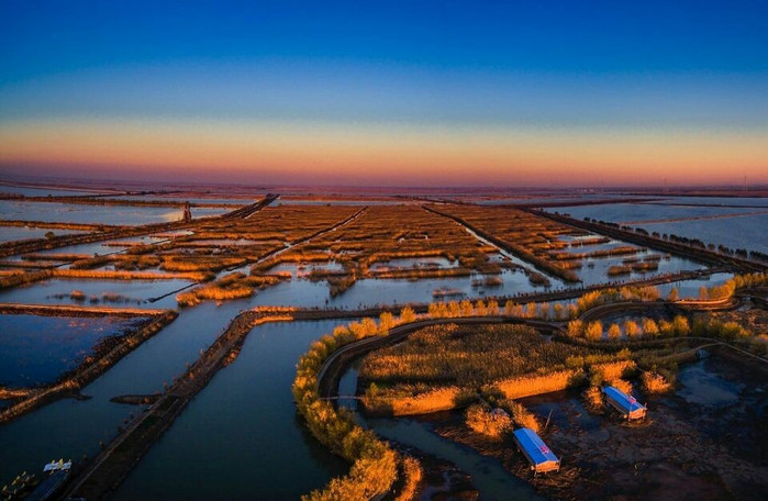 在高郵湖蘆葦蕩溼地公園吃湖鮮看日落(附美食住宿)