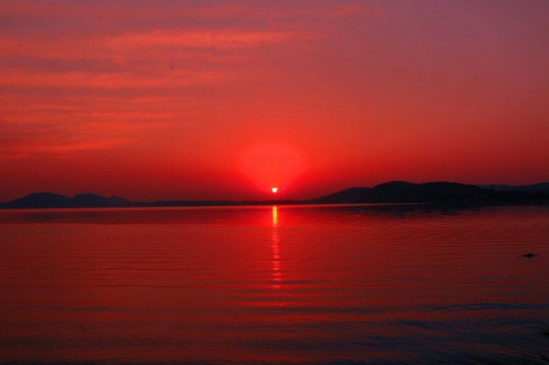 祖国的生日,早早起来,拍一祖旭日东升的照片,祝愿我们祖国就像这喷薄