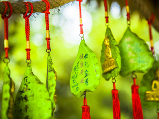 勐景来旅游景区