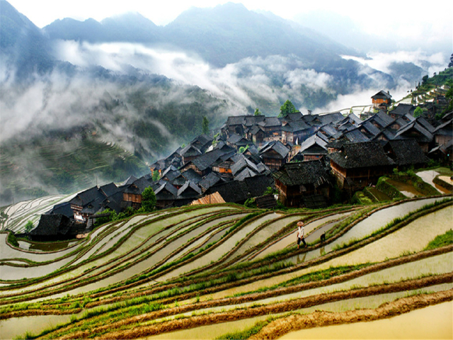 从江高铁站往返接送 纯玩无购物,摄肇兴侗寨,听侗族大歌,欣堂安梯田