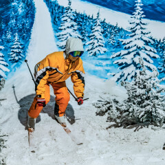 吉林省滑雪运动蜡像结果