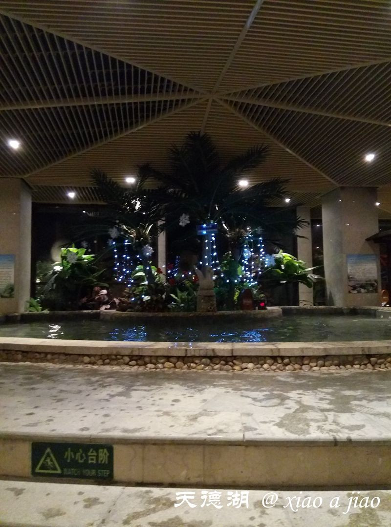泰州天德湖宾馆温泉图片