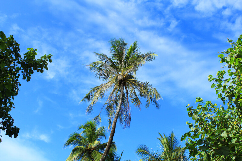 就在这一瞬间,才发现,你就在我身边---马尔代夫