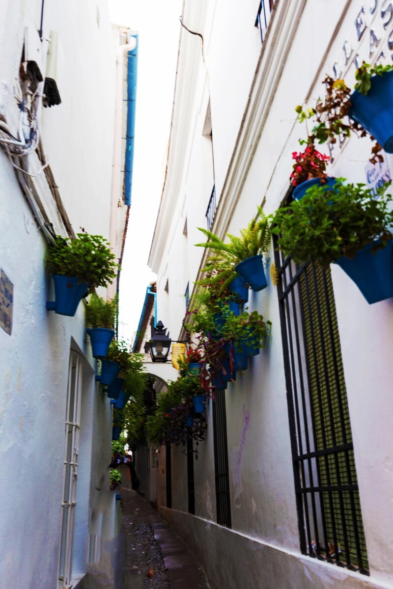 西班牙之旅 - 科尔多瓦百花巷