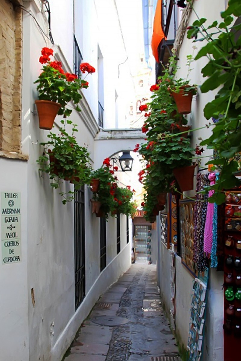 西班牙之旅 - 科尔多瓦百花巷