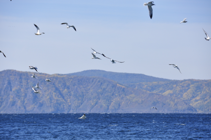 西伯利亚的蓝眼睛----贝加尔湖