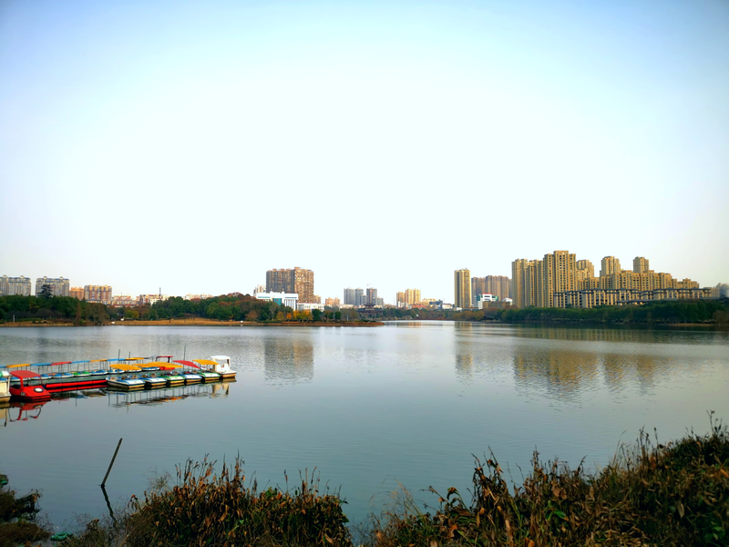 遺愛湖,位於湖北省黃岡市黃州區,是黃岡市的一座城中湖.