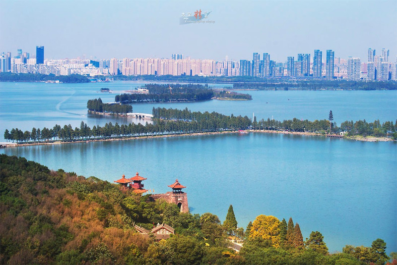 那時的我只知道黃鶴樓和東湖,出差逗留了好幾天,除了這兩個景點其它便