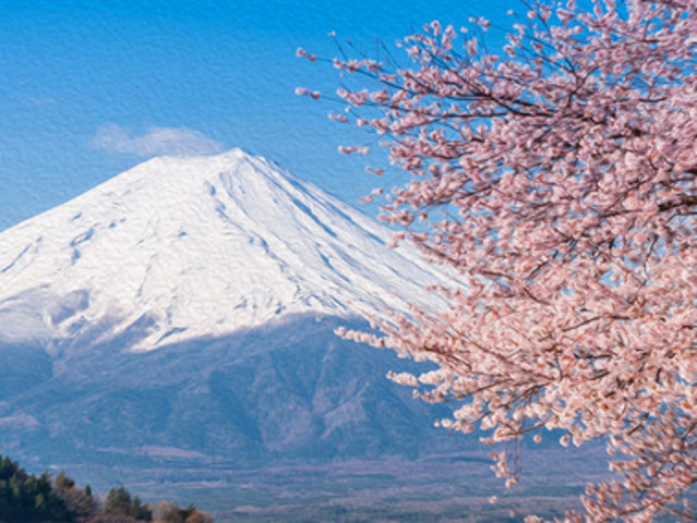 日本东京-富士山一日游 优选行程 一价全包无需