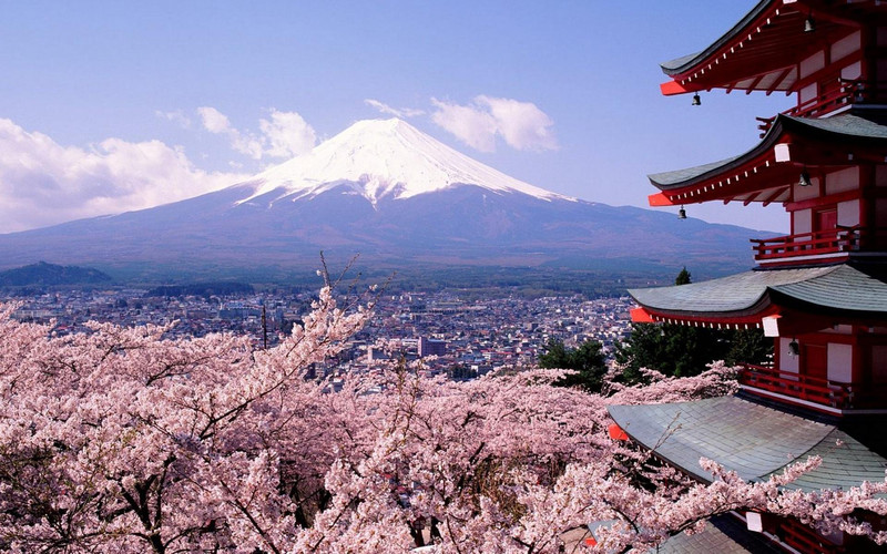 游 东航直飞,全程4星酒店+富士山下温泉,和服变