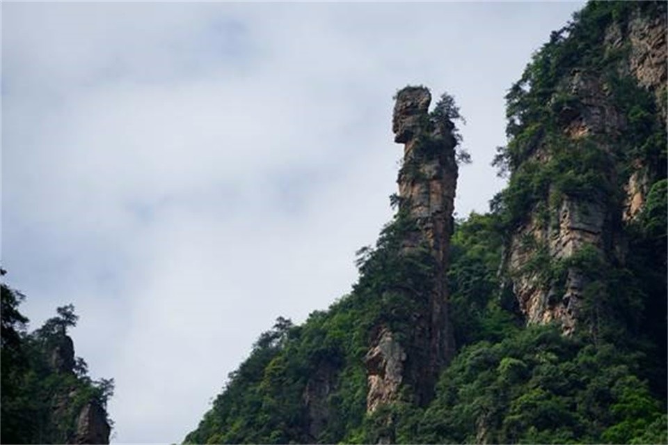 天狗望月,尾巴翘到天上去了
