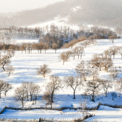 坝上蛤蟆坝冬季风光