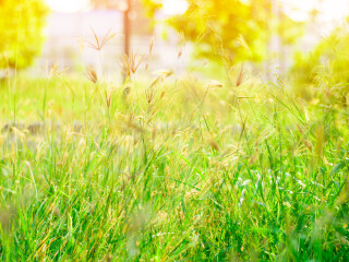 聚宝湾休闲农庄