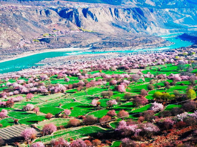 [清明] 新疆杏花沟 赛里木湖 吐鲁番 库木塔格沙漠双卧12日游>0购物