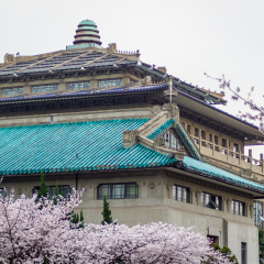 樱花季的武汉大学行政大楼