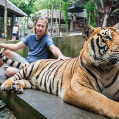 Young man hugging a big tiger in Thailand
