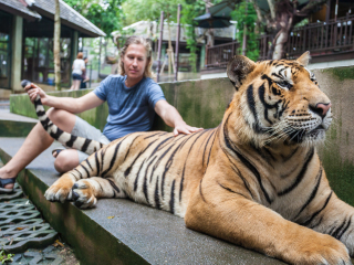 普吉岛老虎王国