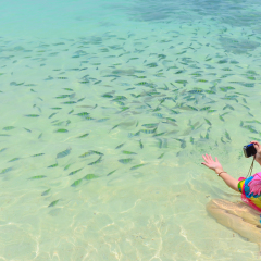 ANDAMAN SEA THAILAND ,koh khai ,Phuket
Phuket