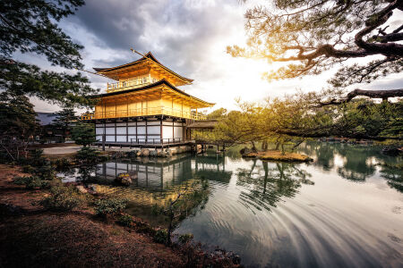 <日本大阪-京都-奈良-东京-富士山-名古屋6晚7天游>温泉酒店，特色美食，大阪东京各一天自由活动，5月行程含富士山芝樱祭