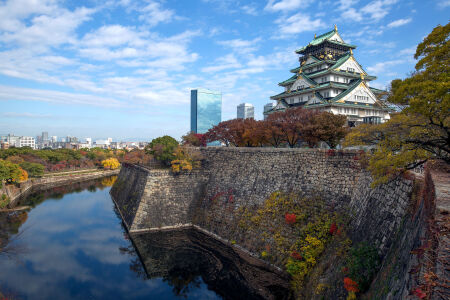 <日本东京-富士山-京都-大阪6或7日游>日航天津直飞,A三古都含镰仓东京1天FREE,B全跟团,C邂逅白川乡大阪1天自由,D东阪双自由升级酒店，报名得WiFi