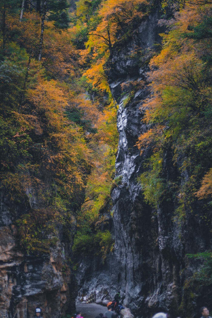 【独家】粗旷的遗落之境,这里不缺的是满含力道的西部片