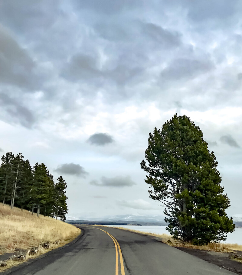 带上宝宝去旅行:畅行山海间-11天5500英里美西自驾游