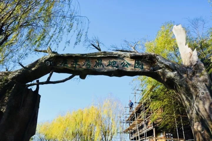 高邮湖芦苇荡湿地生态游在等你!