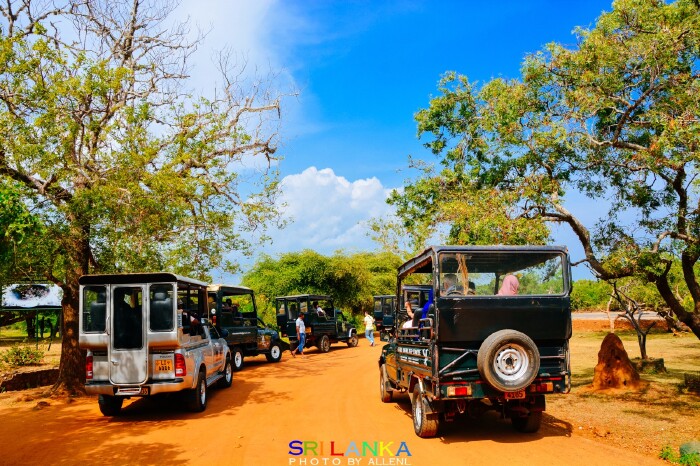 你好2018# 我在斯里兰卡遇见的惊喜和美好