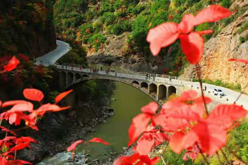 凤县红黑人口_凤县旅游景点(2)