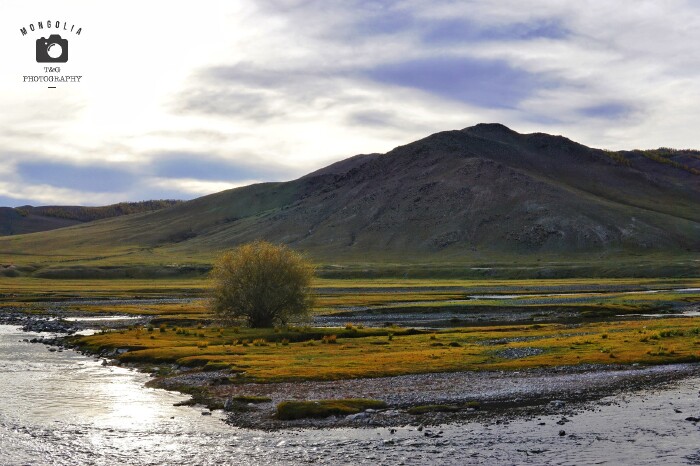 玩美畅游#蒙古利亚:帝国余晖下的草原清晨