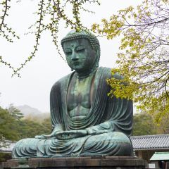 Monumental famous bronze statue of the great buddha   (Daibutsu) in Kotokuin Temple, Kanagawa prefecture, Kanto region, Japan, Tourist Attractions's japan