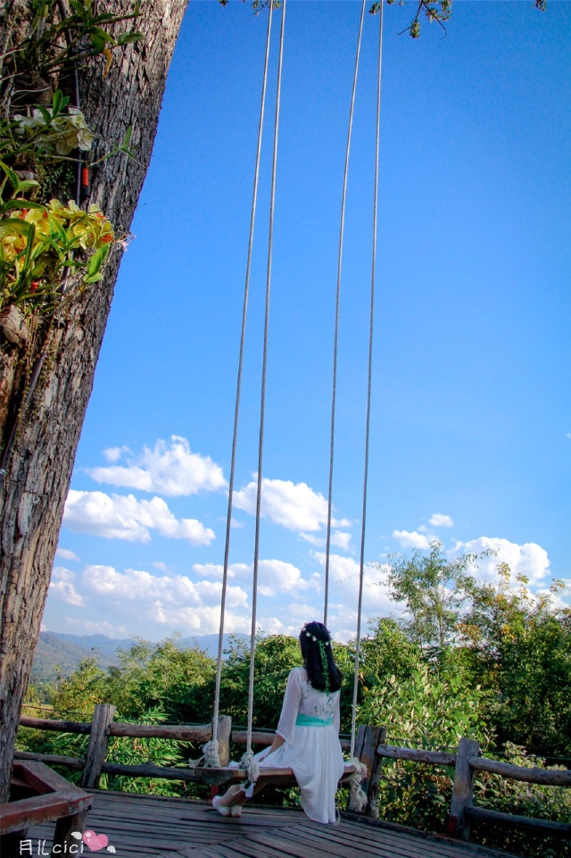 从小就对秋千有独特的情怀,更别说是在如此美的大树下荡秋千.