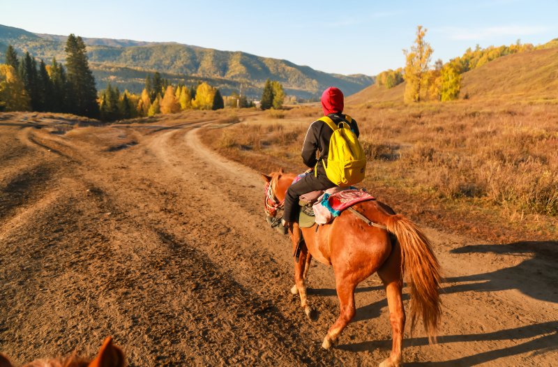 孤独的骑马的我,还被人嘲笑说像骑驴,我只能给一个