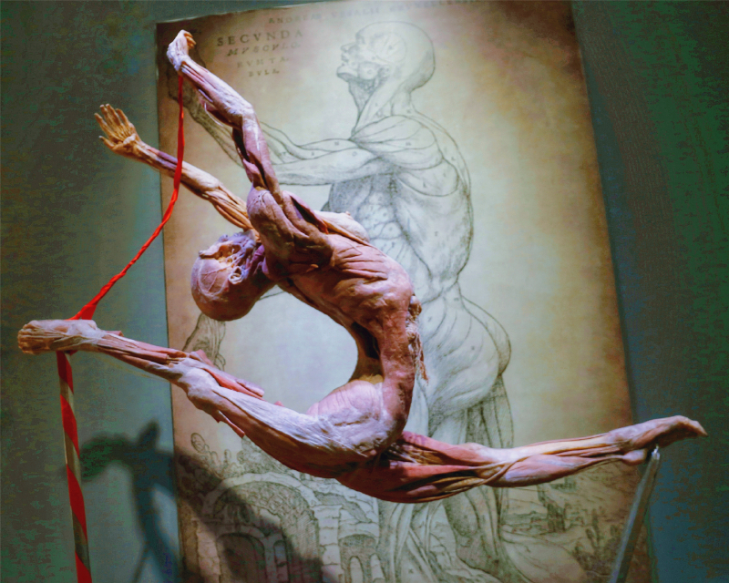 再见大连,漫游金石滩