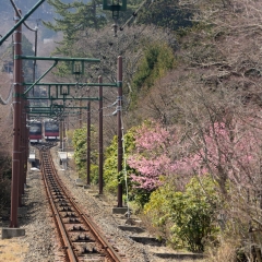 GORA, JAPAN - APRIL 3, 2017: A view of funicular in Gora, in national park Hakone.