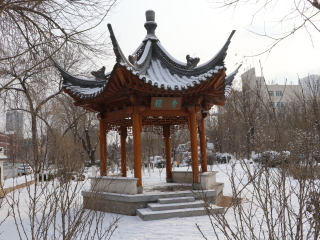 回答图片
