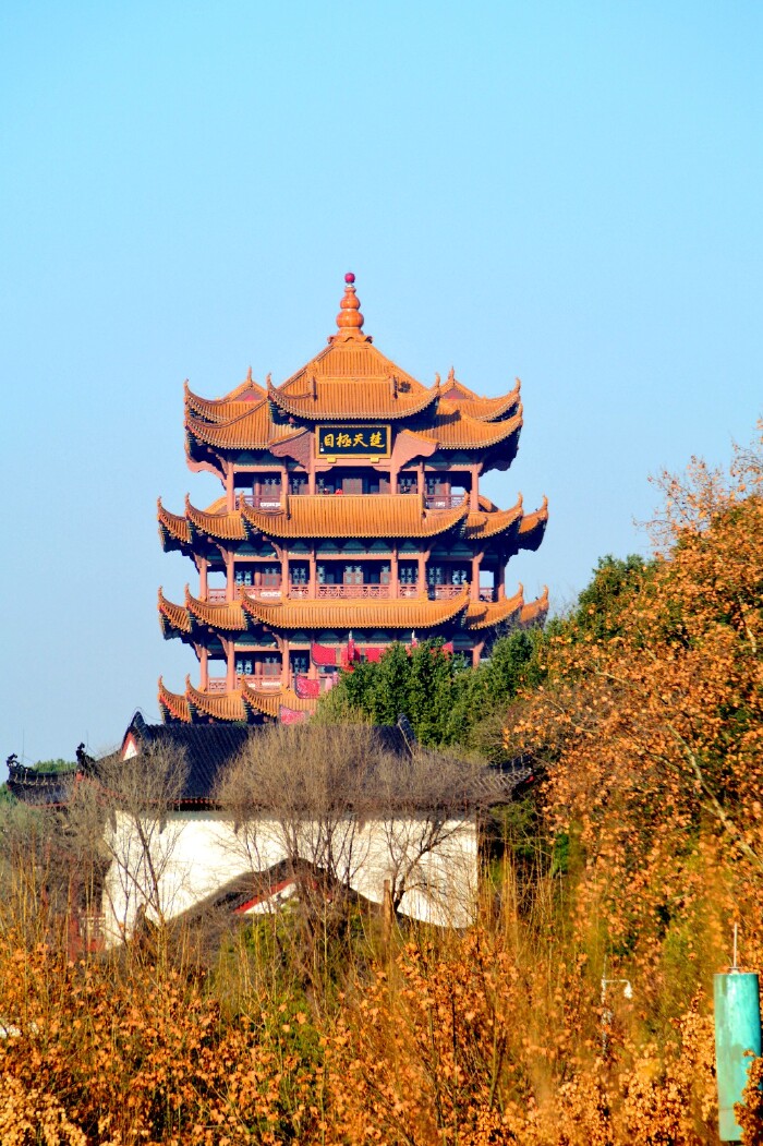 上海老头帮在武汉三镇旅游.