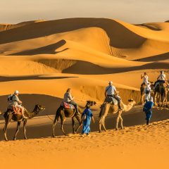 MERZOUGA, MOROCCO - SEPTEMBER 28, 2014: Caravan going through the sand dunes in the Sahara Desert