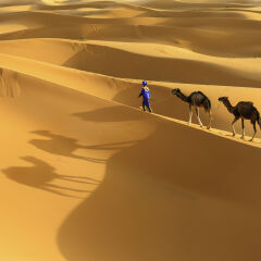 Young  Tuareg with camel on Western Sahara Desert in Africa