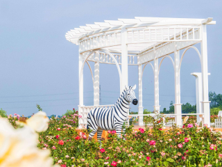 华东玫瑰风情园
