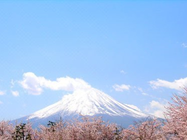 日本东京-富士山一日游 邂逅最美富士山 夏之清