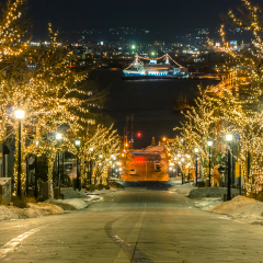 Motion blur of Light View on trees, see the yacht from top hill on road direct to Hakodate Harbor. The wind and snow storm are coming at Motomachi Area, Hokkaido, Japan.