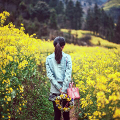 Inside of the yellow sea