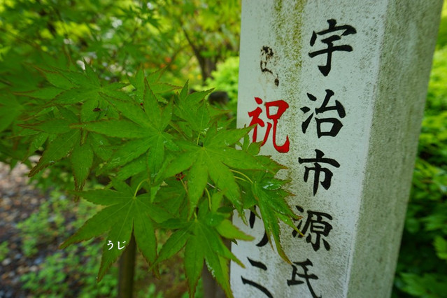 京都物语 没有红叶 没有樱花的京都也很美 宇治 攻略游记 途牛