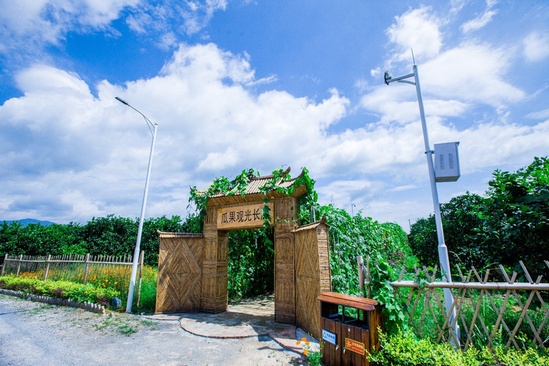 游江永旭日升现代家庭农场可以吃住游体验农家乐园