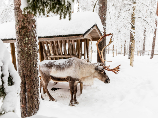 拉努阿野生动物园