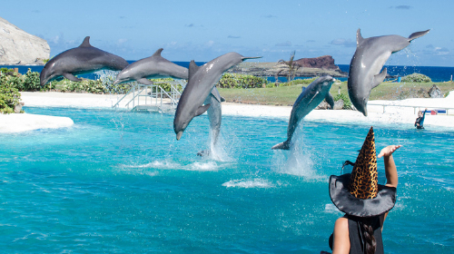 香港-澳门-海洋公园-迪士尼乐园-双飞4晚5日游