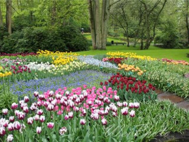 德法瑞意+荷兰9晚12日游 中国国际航空\/法签 新