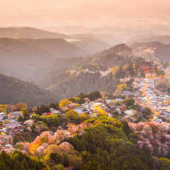 Yoshinoyama, Nara, Japan view of town and cherry trees during the spring season.