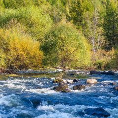 内蒙古阿尔山三潭峡